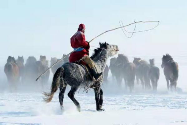 雪原——蒙古马