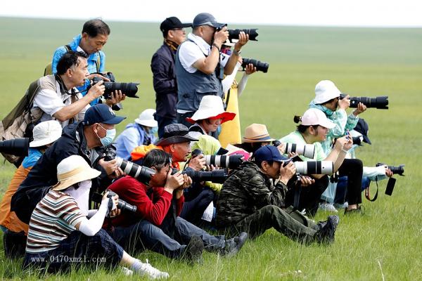 2022年天津摄影团走进大草原